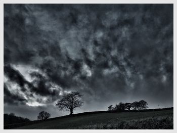 Trees on landscape against sky