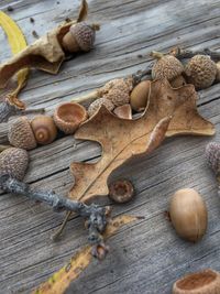 High angle view of cookies on table