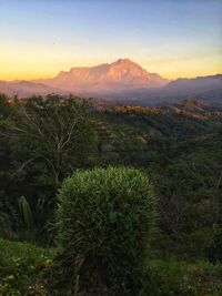 Scenic view of landscape against sky during sunset