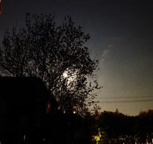 Low angle view of silhouette trees against sky at sunset