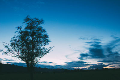 Silhouette tree on field against blue sky