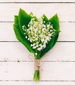 High angle view of white flower on table