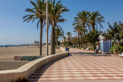 Palm trees on beach against clear sky