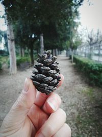 Close-up of cropped hand holding ice cream