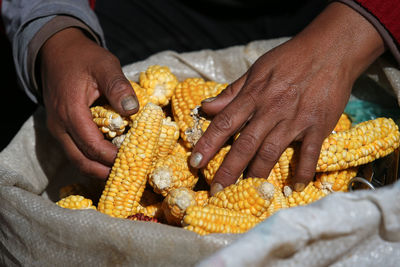 Cropped image of woman hand holdings corns in sack