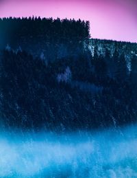 Scenic view of trees against clear sky during winter