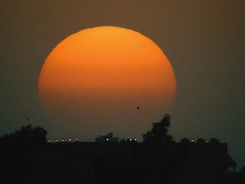 Close-up of silhouette tree against orange sky