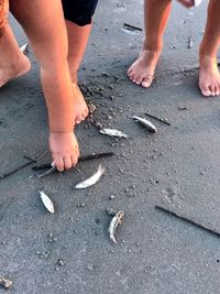 Low section of children on beach