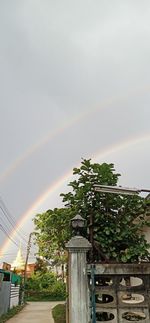 Low angle view of plants and trees against sky
