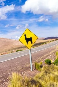 Llama board on the side of the road in the middle of the atacame desert