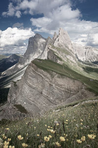 Scenic view of geislerspitzen odles group mountains with buttercups in the foreground against sky