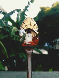 Reflection of person photographing on spoon through mobile phone