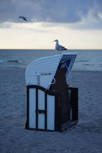 Seagull on chair on beach against sky