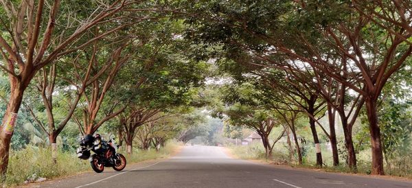 Rear view of people riding bicycle on road in city