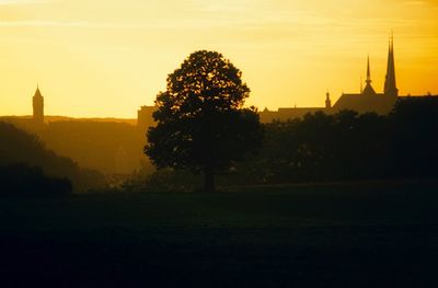 Silhouette of trees and buildings against sky during sunset