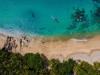 High angle view of man swimming in sea