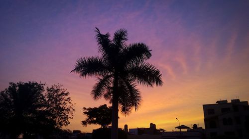 Low angle view of silhouette trees against sky at sunset