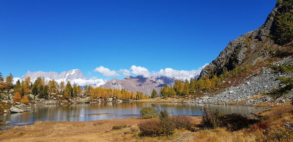 Scenic view of lake by trees against blue sky