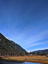 Scenic view of field against blue sky