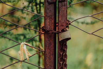 Close-up of padlock hanging on metallic fence