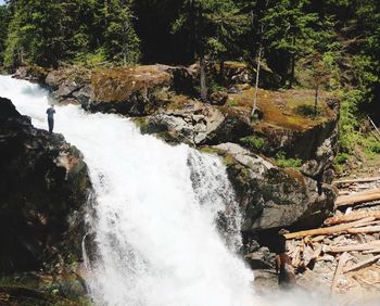 Stream flowing through rocks in forest