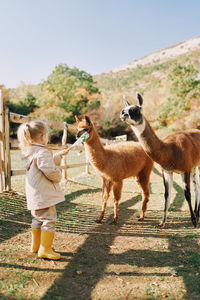 Side view of woman standing on field