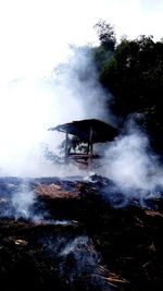 Smoke emitting from geyser by trees against sky