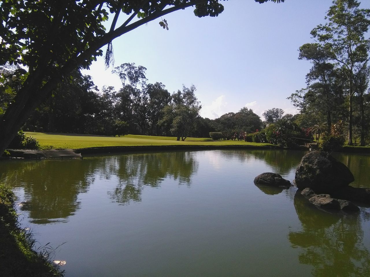 tree, reflection, tranquil scene, water, tranquility, lake, nature, scenics, outdoors, beauty in nature, day, no people, sky, growth, grass, architecture