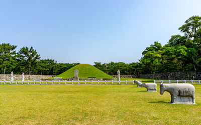 Scenic view of field against clear sky