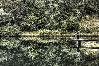 Plants growing on tree