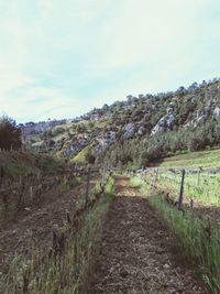 Scenic view of landscape against sky