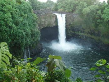 Scenic view of waterfall in forest