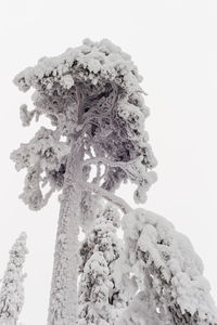 Low angle view of sculpture against white background