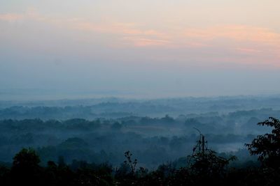 Scenic view of forest against sky during sunset