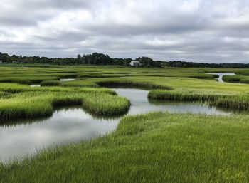 Scenic view of grassy field by lake against sky