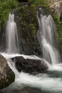 Scenic view of waterfall in forest