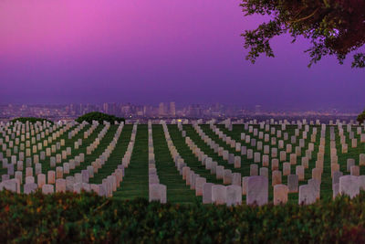 Panoramic shot of cemetery against clear sky