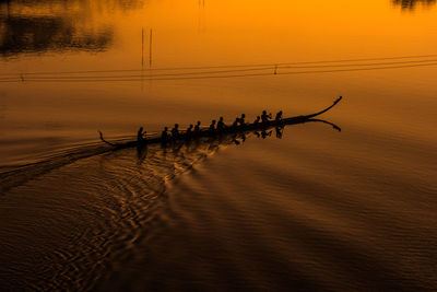 Image of silhouette, rower at sunset