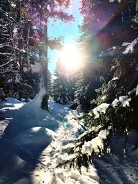 Snow covered landscape against bright sun