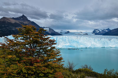 Perito moreno glacier in patagonia