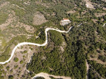 High angle view of snake on road