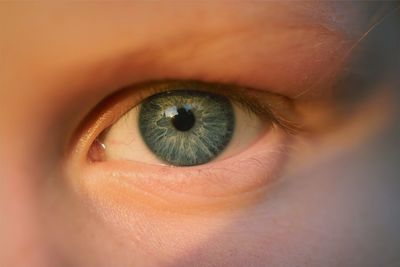 Extreme close-up portrait of human eye