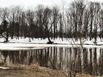 Bare trees by lake against sky during winter