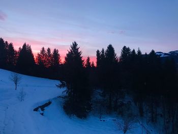 Silhouette trees on snow covered land against sky during sunset