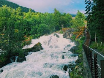 Scenic view of waterfall in forest