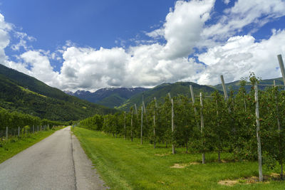 Road amidst green landscape against sky