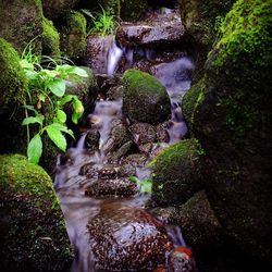 Stream flowing through rocks