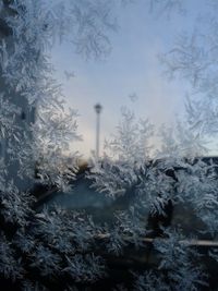 Scenic view of snow covered landscape