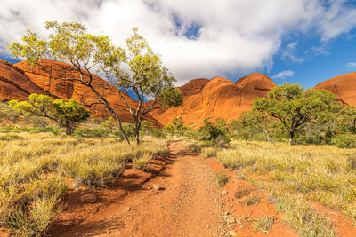 Scenic view of landscape against sky