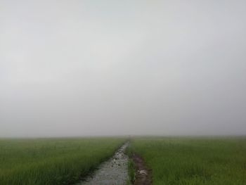 Scenic view of field against sky during foggy weather